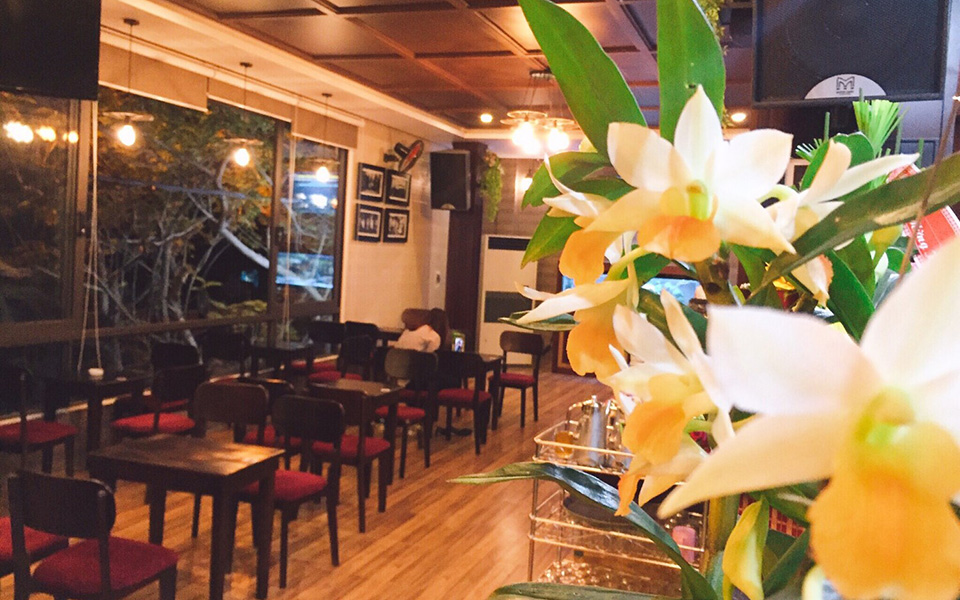 Koi Cafe
