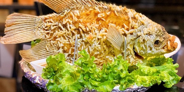 Sông Quê Quán - Cá Diêu Hồng Chiên Xù Cuốn Bánh Tráng