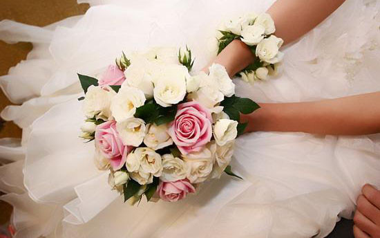 Tường Vi Flower - Tô Hiệu