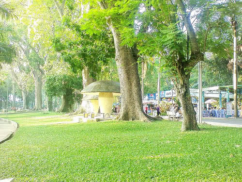 Những địa điểm picnic ở thành phố Hồ Chí Minh Có gì mới ! Giải trí Giới thiệu  