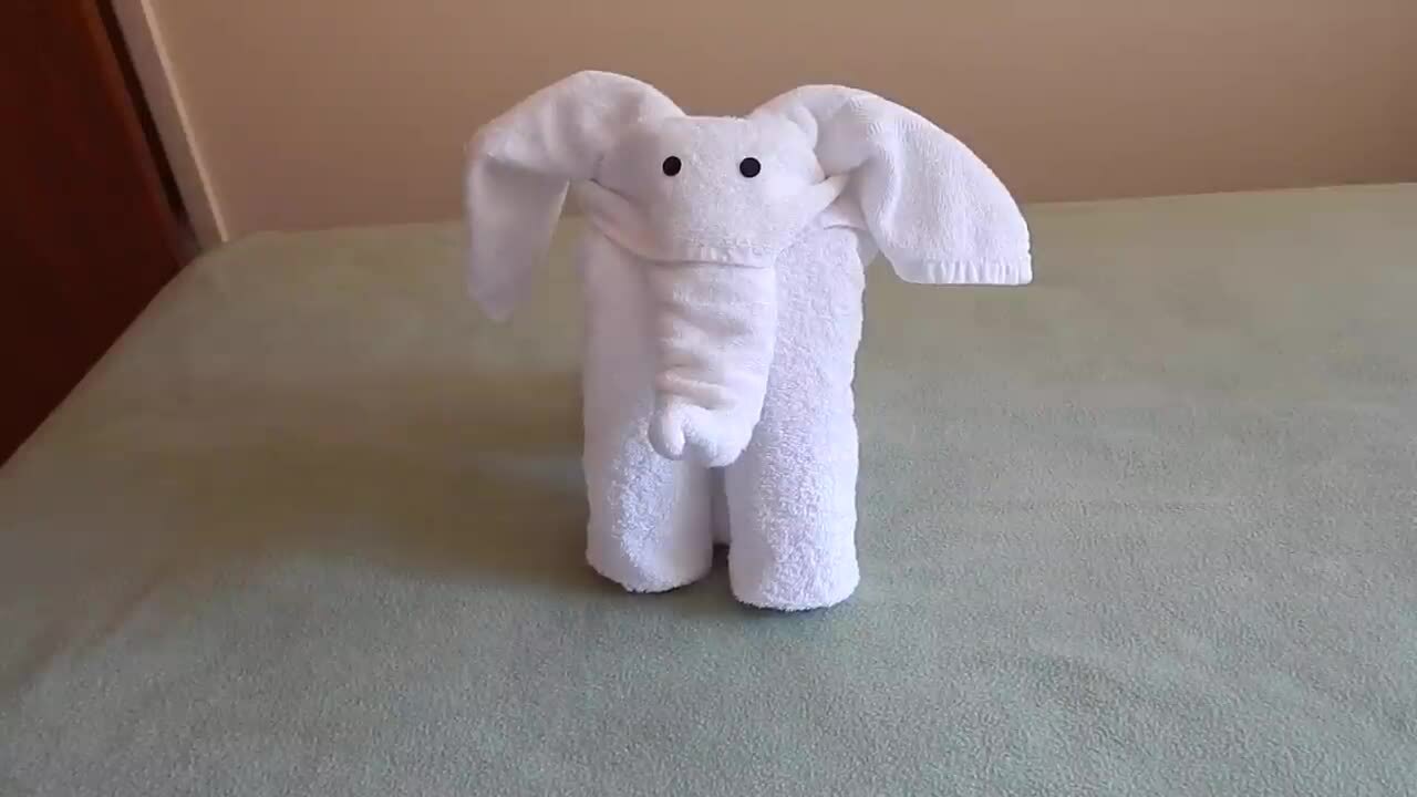 Cách gấp con voi từ khăn bông Thông tin  