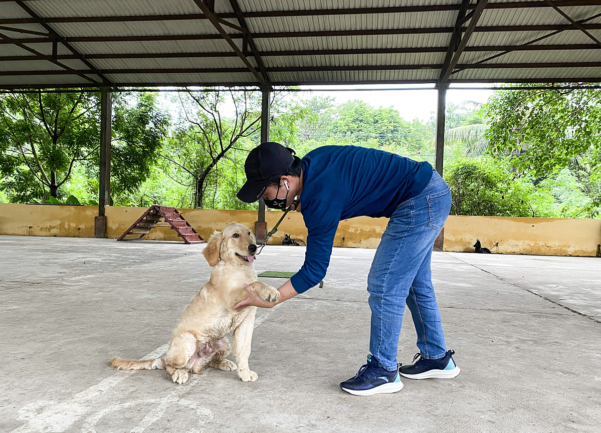 Địa điểm giải trí chi-gan-chuc-trieu-dong-day-cho-di-ve-sinh Chi gần chục triệu đồng dạy chó đi vệ sinh Thông tin  