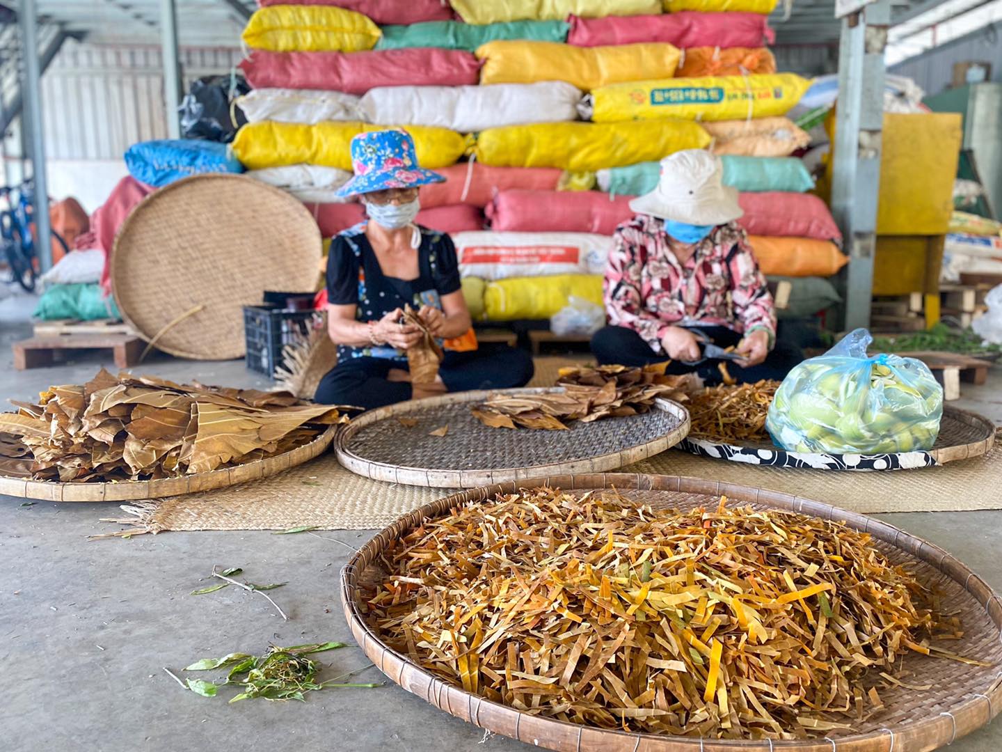 Địa điểm giải trí nhung-tour-xe-dap-dang-trai-nghiem-tai-tp-hcm Những tour xe đạp đáng trải nghiệm tại TP HCM Du lịch  