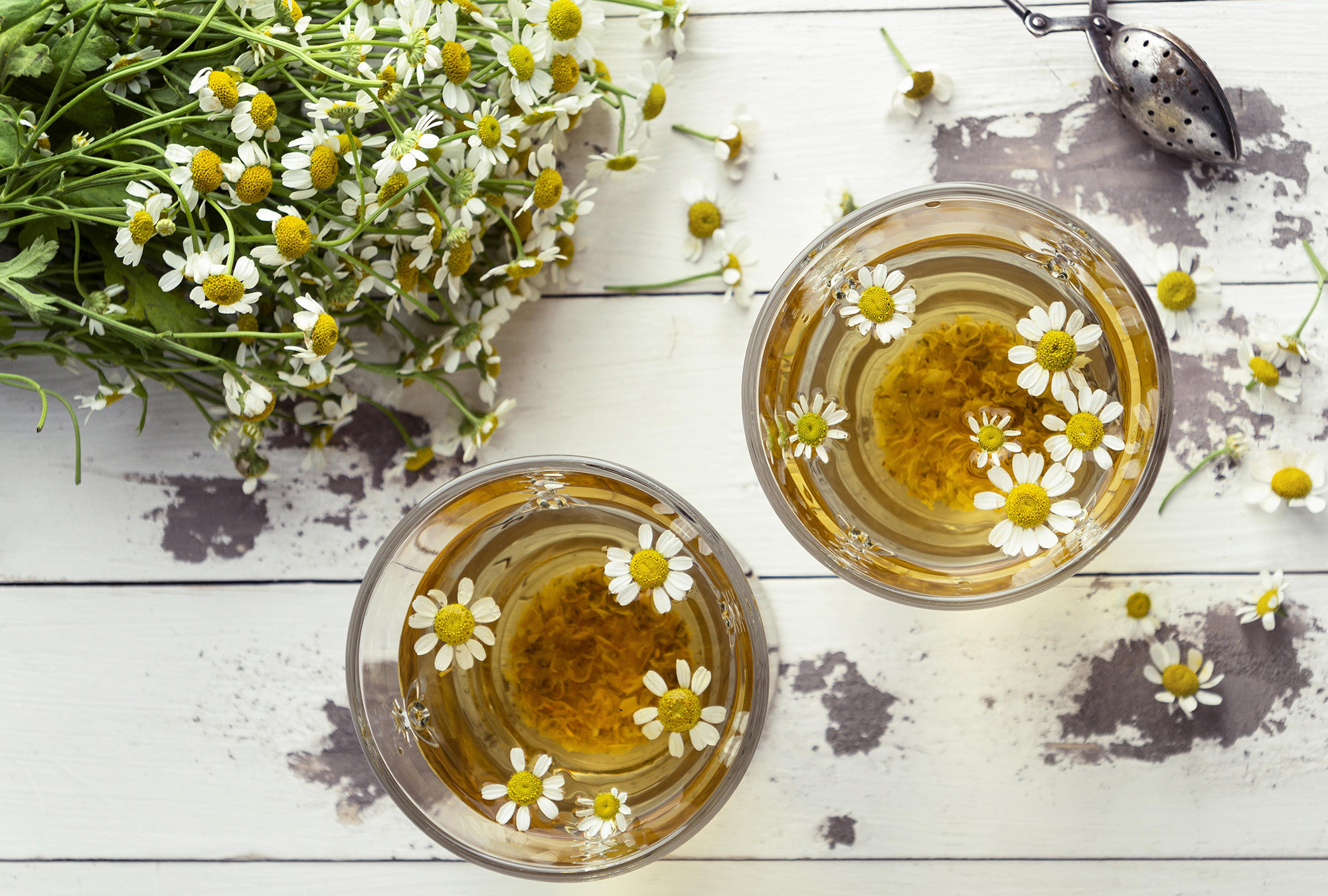 Công dụng sức khỏe của trà hoa cúc Thông tin  