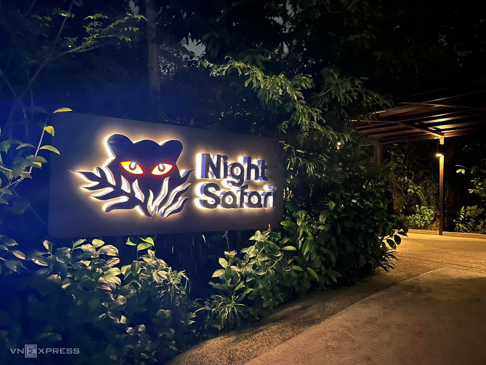 'Sở thú đêm Singapore không như mong đợi' Du lịch  