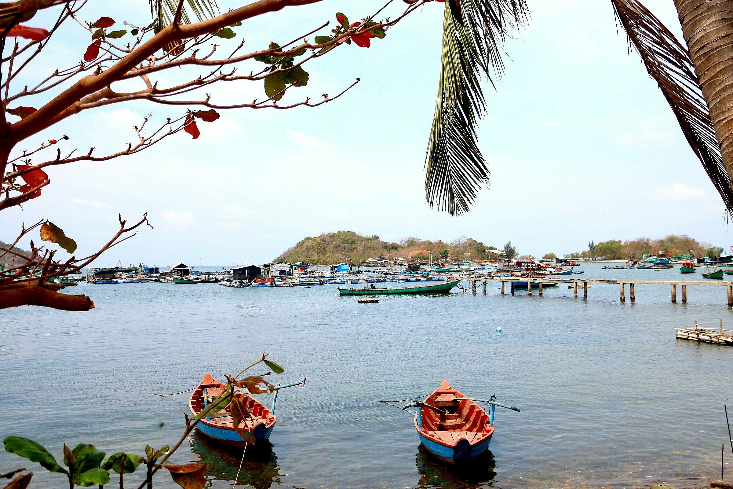 Địa điểm giải trí bat-nhum-va-an-tai-cho-o-quan-dao-hai-tac Bắt nhum và ăn tại chỗ ở quần đảo Hải Tặc Du lịch  