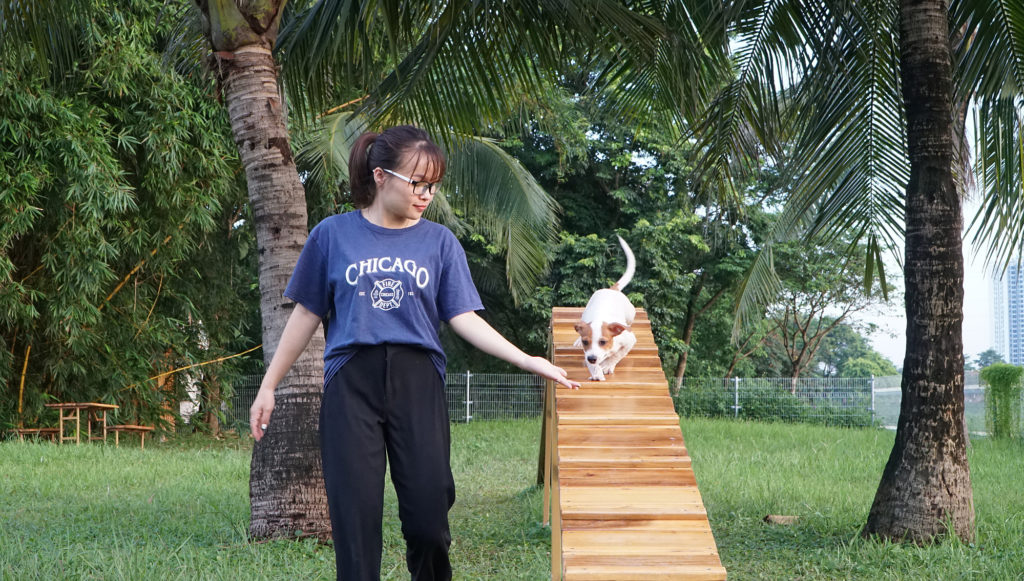 Công viên dành cho chó đầu tiên tại Hà Nội , cong vien danh cho cho dau tien tai ha noi