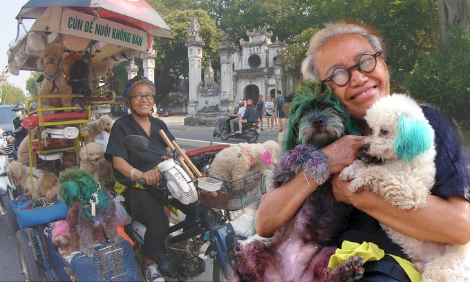Bà lão 71 tuổi chế xe chở đàn chó poodle dạo phố , ba lao 71 tuoi che xe cho dan cho poodle dao pho
